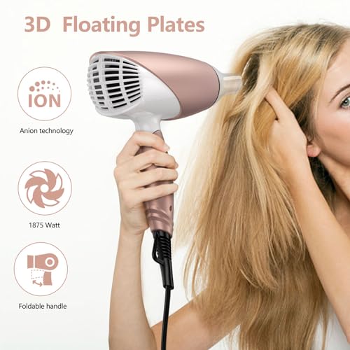 Professional Ionic Hair Dryer with Concentrator Nozzle and Cold Shot Button