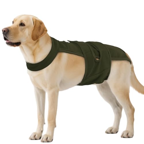 Image of QBLEEV Female Dog Diapers with Adjustable Suspenders - Washable Sanitary Panties for Dogs in Heat or Incontinence, Escape-Proof Reusable Pet Period Underwear Onesie for Small to Large Breeds