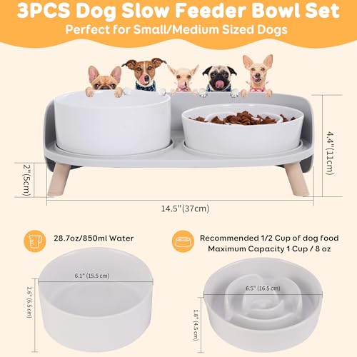 Elevated Slow Feeder Dog Bowls - Ceramic Food and Water Bowl Set with Stand - Raised Pet Dishes for Small and Medium Sized Dogs - Image 3