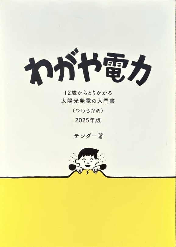 太陽をつかまえる 科学者からの手紙 1 太陽をつかまえる 科学者からの手紙 1 太陽をつかまえる（科学者からの