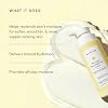 Naturium Bio-Lipid Restoring Loción Corporal, Hidratación Todo el Día, 14 fl oz | Humectante Nutritivo con Manteca de Karité, Fórmula Hidratante y de Rápida Absorción, para Todo Tipo de Piel, Sin Fragancia, Suavizante, 14 fl oz (Paquete de 1) 8