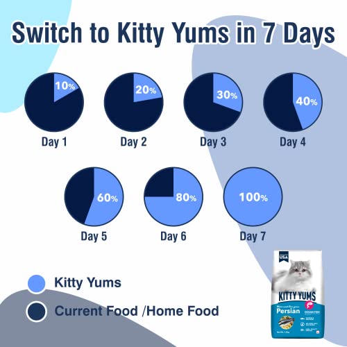Image of Kitty Yums Adult Persian Dry Cat Food 1.2kg Pack | Ocean Fish Flavour | Develop Strong Bones | Strong Immune System | Strong Vision Development Support Digestive Health