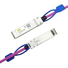 10Gtek 25GBASE-CR SFP28 to SFP28 Passive Cable, for Cisco SFP-H25GB-CU2M, Ubiquiti, Supermicro, Mikrotik, Arista and More, Nylon Braided Jacket, 2-Meter6.6ft