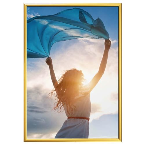 �\�t�P��(Sofken) �A���~�z�� �X�����G�C�g A2 �S�[���h 002276