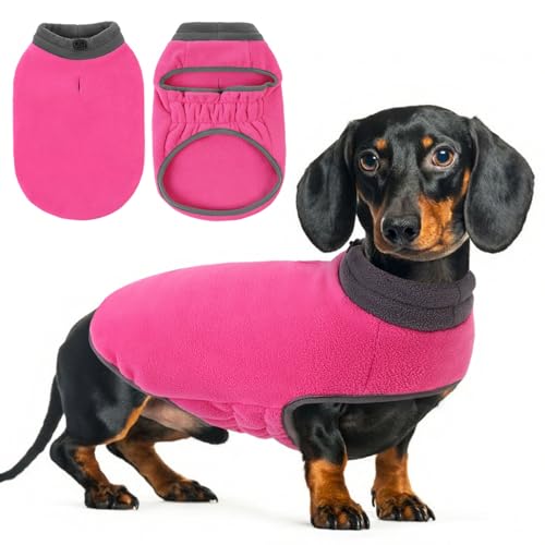 Queenmore chandail chien petit polaire veste extensible