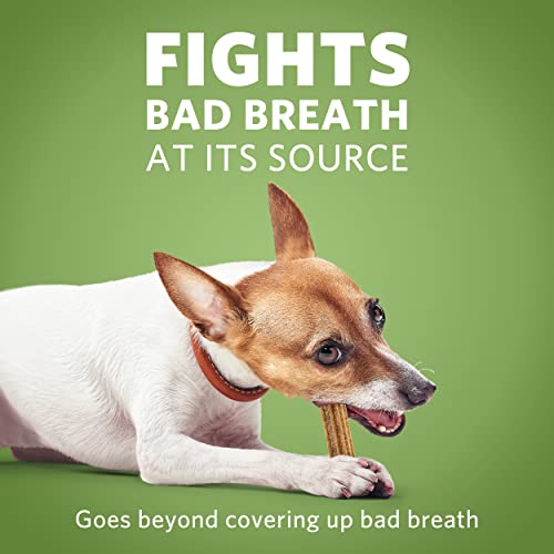 Purina Dentalife Activfresh Daily Oral Care Mini Dog Chews - (2) 45 Ct. Pouches #TOP3