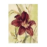 Trademark Fine Art Canvas Wall Art - Cheri Blum 'Burgundy Day Lily' Wall Art for Living Room, Bedroom, or Office Décor