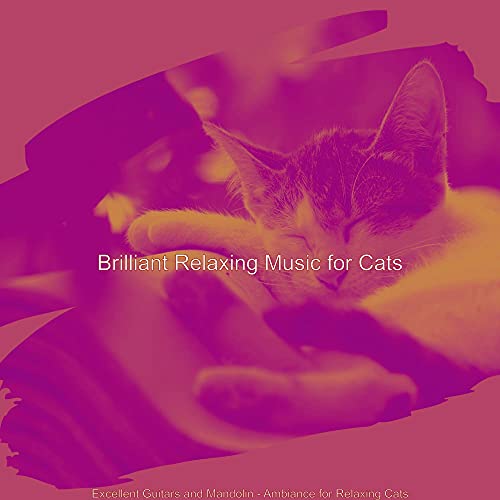 Picture of Excellent Guitars and Mandolin - Ambiance for Relaxing Cats de ...