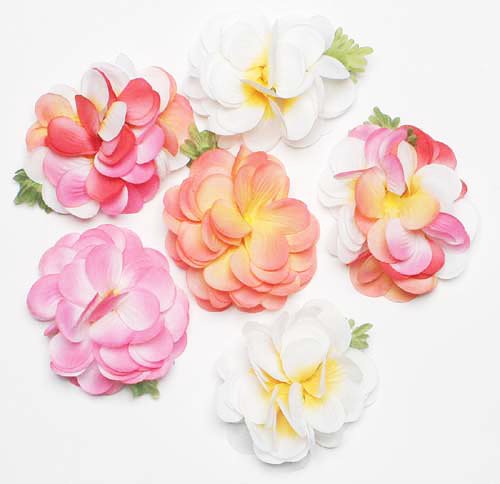 Tutu Hair Clip, Plumeria, Assorted (Pack of 6)