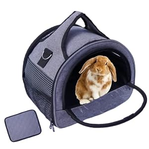 Guinea Pig Carrier, Small Pet Carriers for Rabbit Hamster Bird Bunny Bearded Dragon Kitty and Etc. Animal Bag with Stable Handle and Waterproof Pad, Easy Travel and Vet Visit