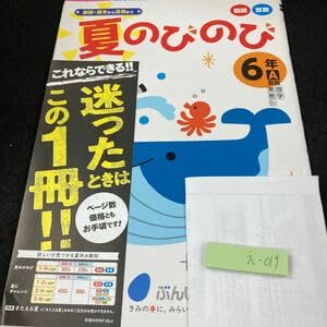 小学生用テキスト Amazon.co.jp: TN12-022 駿台 数学ZX テキスト/ノート/プリント