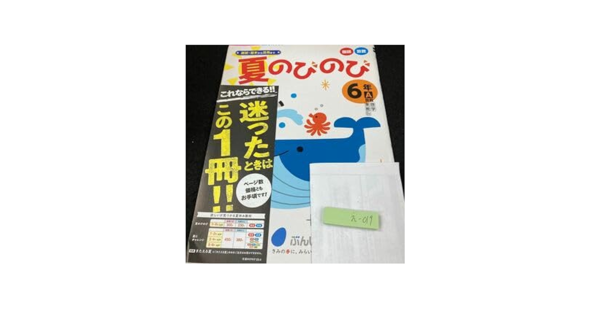 Amazon | えー019 基礎・基本から活用まで 夏のびのび 国語 算数