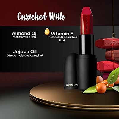 Matte Lipstick in Royal Maroon - Weightless Finish by Faces Canada