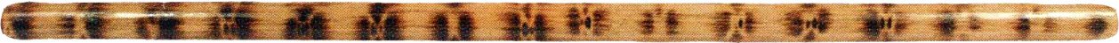 BAY Hanbo Langstock Stock Holzstock 100 cm Rattan Tiger Style Branding Kampfstock BO Han-BO Budo