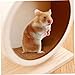 TusaMer Hamster Wheel 6 Inch Waterproof Moistureproof Stable Wooden Silent Hamster Wheel Silent Rat Gerbil Hedgehog Hermit Crab.