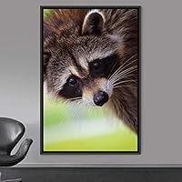 Framed Canvas Wall Art Raccoon Animals Expressive Farmhouse/Country Living Room Monkey Multicolor Photography - 16x24 inches