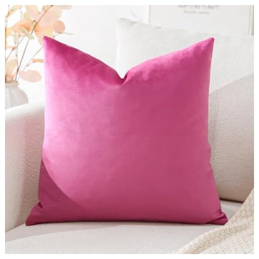 Artscope Housse de Coussin en Velours Décoratif Canapé Taie d'oreiller Super Doux Decoration Maison Salon Chambre pour Canapé 40x40cm Rose Rouge
