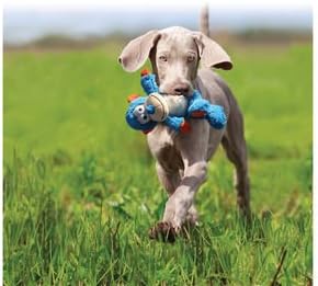 KONG Cross Knots Elephant Toy, Medium/Large