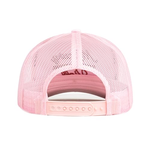 Image of Visibly Toxic Funny Trucker Hats for Men, Mesh Snapback Cap, Adult Humor | Embroidered designs, breathable vintage style, adjustable, unisex, funny gift, high-profile fit