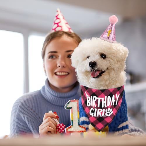 Hunde Geburtstag Hut Bandana Set, 3 Stücke Hunde Geburtstags Bandana Mütze mit 8 Bling Nummern, Hundegeburtstagsgeschenk, Hund Geburtstag Deko (Rosa)