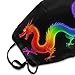 SESLFLKPJK Women Men Soft Face Mask Fashion Scarf Dust Proof Windproof Mouth Covering, Cool Fire Rainbow Dragon Facial Shield for Outdoors Home And Daily Use