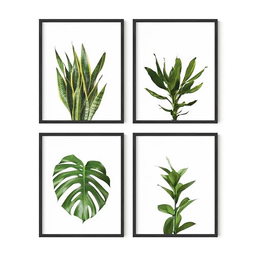 HAUS AND HUES Plant Wall Art - Set of 4 Botanical Prints, Sage Green Leaf Art, Minimalist Plant Pictures for Wall Decor (Unframed, 16x20)