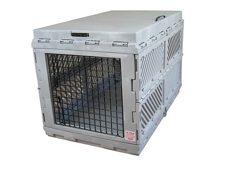 plastic collapsible dog crate