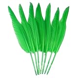【Soigneusement sélectionnées】Plumes d'oie douces bilatérales blanches rares avec une longue taille unique qui mesure presque plus de 20,3 cm de long chacune. Il peut être appliqué à plus de scènes de vie.