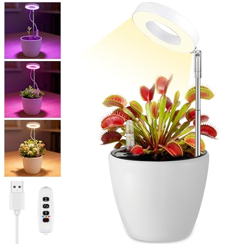 Vovapis Venus Flytrap Terrarium Pot LED Grow Light & Air
