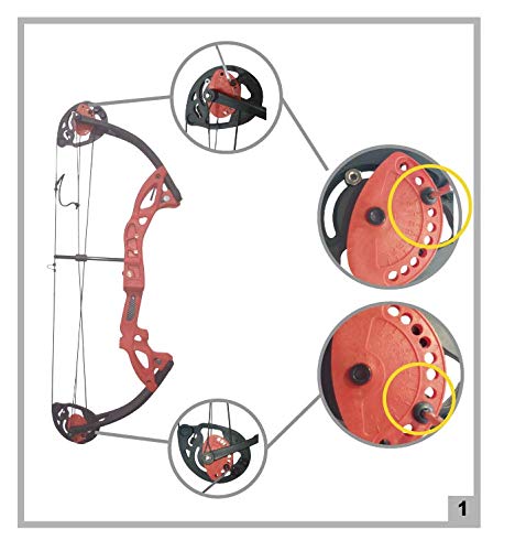 image for PANDARUS Compound Bow Archery for Youth and Beginner, Right Handed,19�