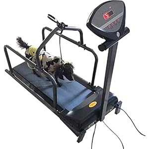 Loopband Honden Dieren Trainingsapparatuur Huisdier Verlies Gewichtsapparaat Helpt Huisdieren om te trainen en gewicht te verliezen voor binnensporten