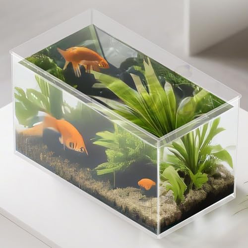 Aquarium compact pour petits espaces et bureau - 4