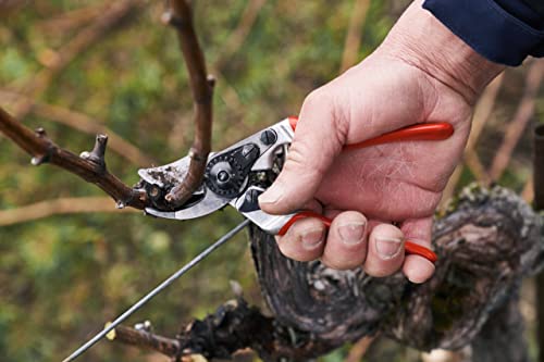 FELCO 14 Gartenschere für Rechtshänder (kompakte Baumschere, Schere für kleine Hände, Schnitt-ø 18 mm, Länge 180 mm, Rebschere)