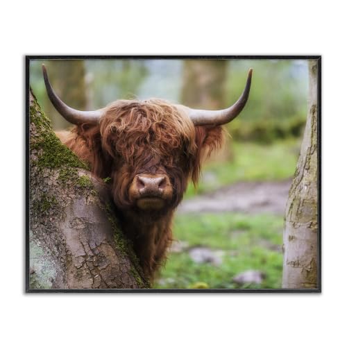 Highland Cattle Nature Scene, 11 x 14 Inch Framed Giclée Print