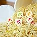 YAHTZEE Cup Noodles | Collectible Yahtzee Game Made to Look Like Iconic Ramen Meal with Custom Dice | Travel Yahtzee Game & Dice Game
