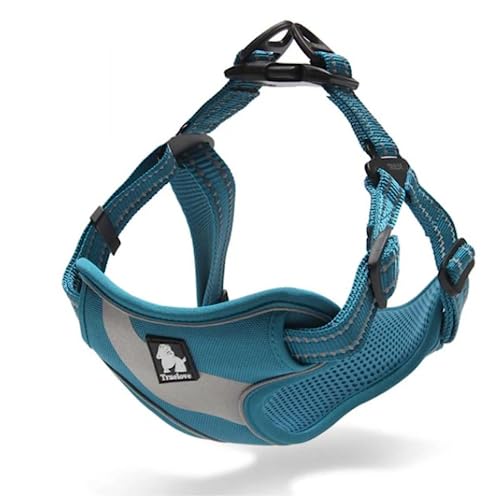 Juvendy K㗝X Truelove  n[lX y e͐bV 3Mˑf M blue COH꒼