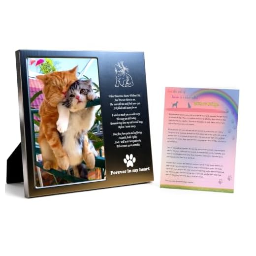 Cat Memorial Picture Frame 4x6, Cat Memorial Gift for loss of Cat (4S)