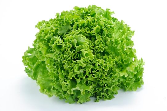 Insalata Gentile, 250Gr., Cat. I