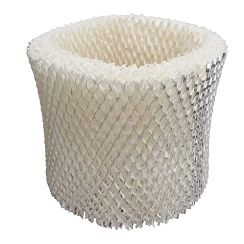 LEFITPA Replacement Humidifier Filter for General Electric 106763 Model (21-15/16