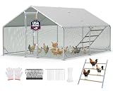 Sannwsg Large Walk-in Run 13x10ft