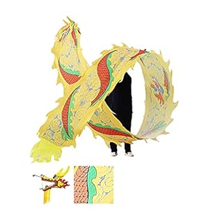 Dragon Dance Ribbon Streamer, Outdoor Sport Fitness Linten voor Jeugd/Volwassenen/Ouderen Chinese Folk Fitness…