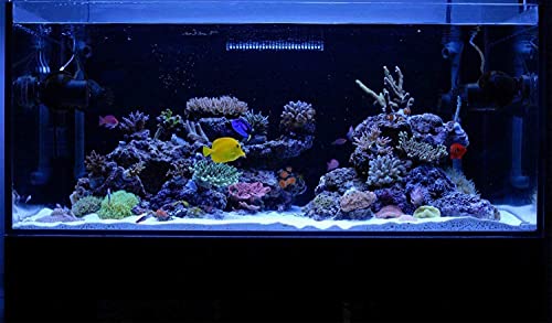 Image of Upgraded Remote Control Aquarium Light 48-60 inch Multi-Color LED Hood Lamp Dimmable Timing for Freshwater Marine Plant Fish Tank Light Foldable Decorations (24 inch+24 inch)