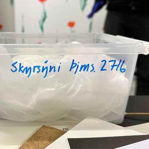 4. &thorn;&aacute;ttur: Skyri&eth; hennar Berg&thorn;&oacute;ru