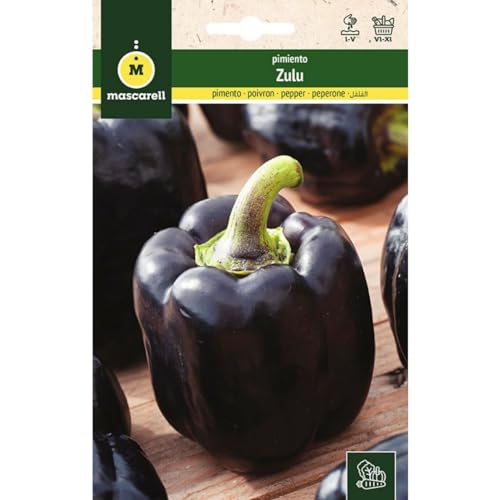 Mascarell Semillas, PIMIENTO, Semillas Huerto, PIMIENTO ZULU, Crea tu Propio Huerto Urbano y Cultivo en Casa, Plantas Hortícolas, 0,5 Gramos