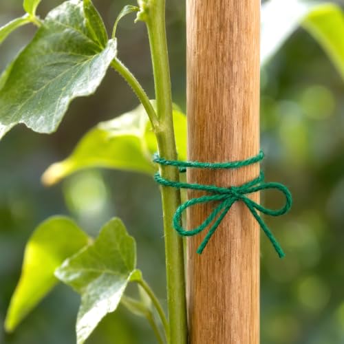 Image of KINGLAKE Green Jute Twine String 1312 Feet 2mm for Crafts Gift Wrapping | Jute Twine String for Crafts Gift Wrapping Christmas Packing Arts Decoration Wedding Gardening