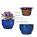 Dphagesy African Violet Pots Self Watering Round Ceramic Violet Pot (Blue, 6 inch)