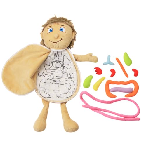 Uposao Juguete de Anatomía del Cuerpo Humano 3D - Peluche Órgano Muñeca - Herramienta de Enseñanza y Aprendizaje Temprano para la Conciencia del Cuerpo - Para el Hogar