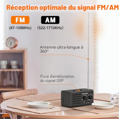 Radio portable AM/FM excellente réception avec haut-parleur et port USB