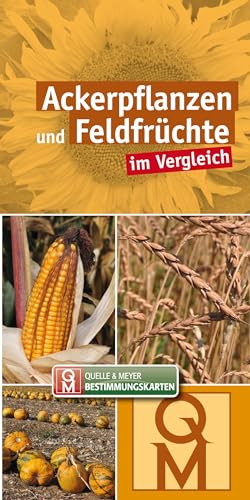 Ackerpflanzen und Feldfrüchte im Vergleich: 10er-Set (Quelle & Meyer Bestimmungskarten)