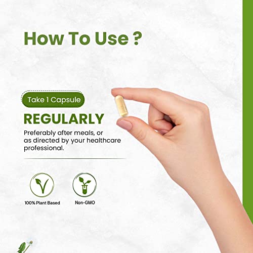 Kavir Plant Based Liver Support Supplement With Milk Thistle, Turmeric, Beetroot, Dandelion | Supports Digestion & Immunity | For Men & Women - 60 Veg Capsules #TOP4